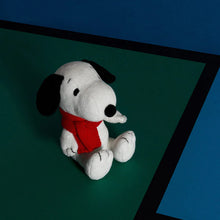 Lade das Bild in den Galerie-Viewer, Snoopy sitzend mit Schal, Stofftier 17cm
