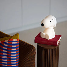 Load image into Gallery viewer, Bundle of Light, Snoopy Nightlight
