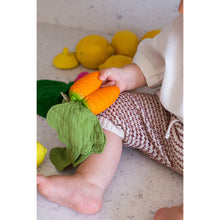 Load image into Gallery viewer, Baby Teether &#39;&#39;Cathy the Carrot&#39;&#39;
