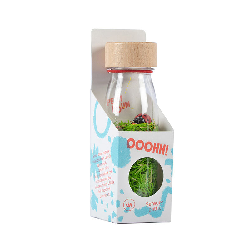 Sensory Sound Bottle, Ladybirds