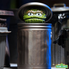 Lade das Bild in den Galerie-Viewer, Sesame Street ReAction Figure &#39;&#39;Oscar the Grouch&#39;&#39;
